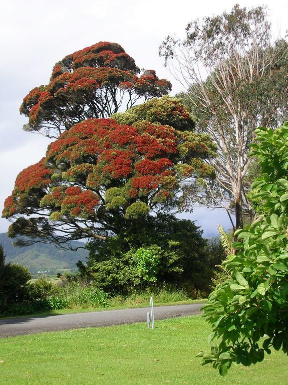 Karamea Holiday Park Exteriör bild